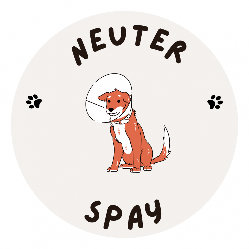 Neuter or Spay banner