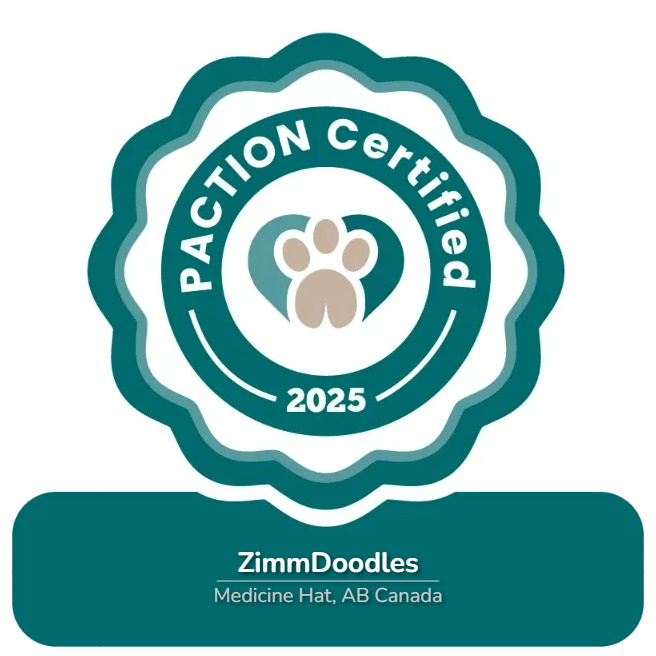 Paction Certification Badge