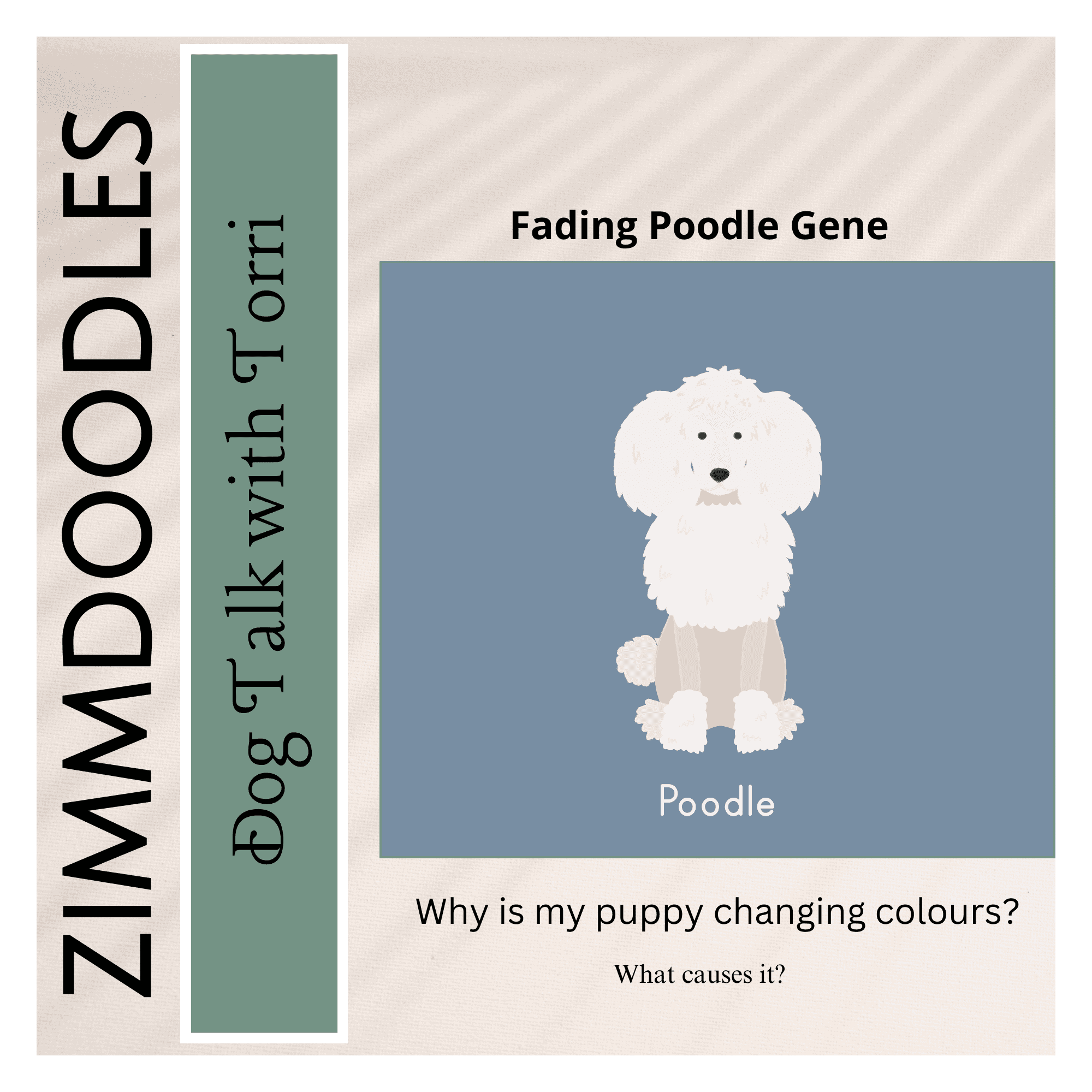 Fading Poodle Gene