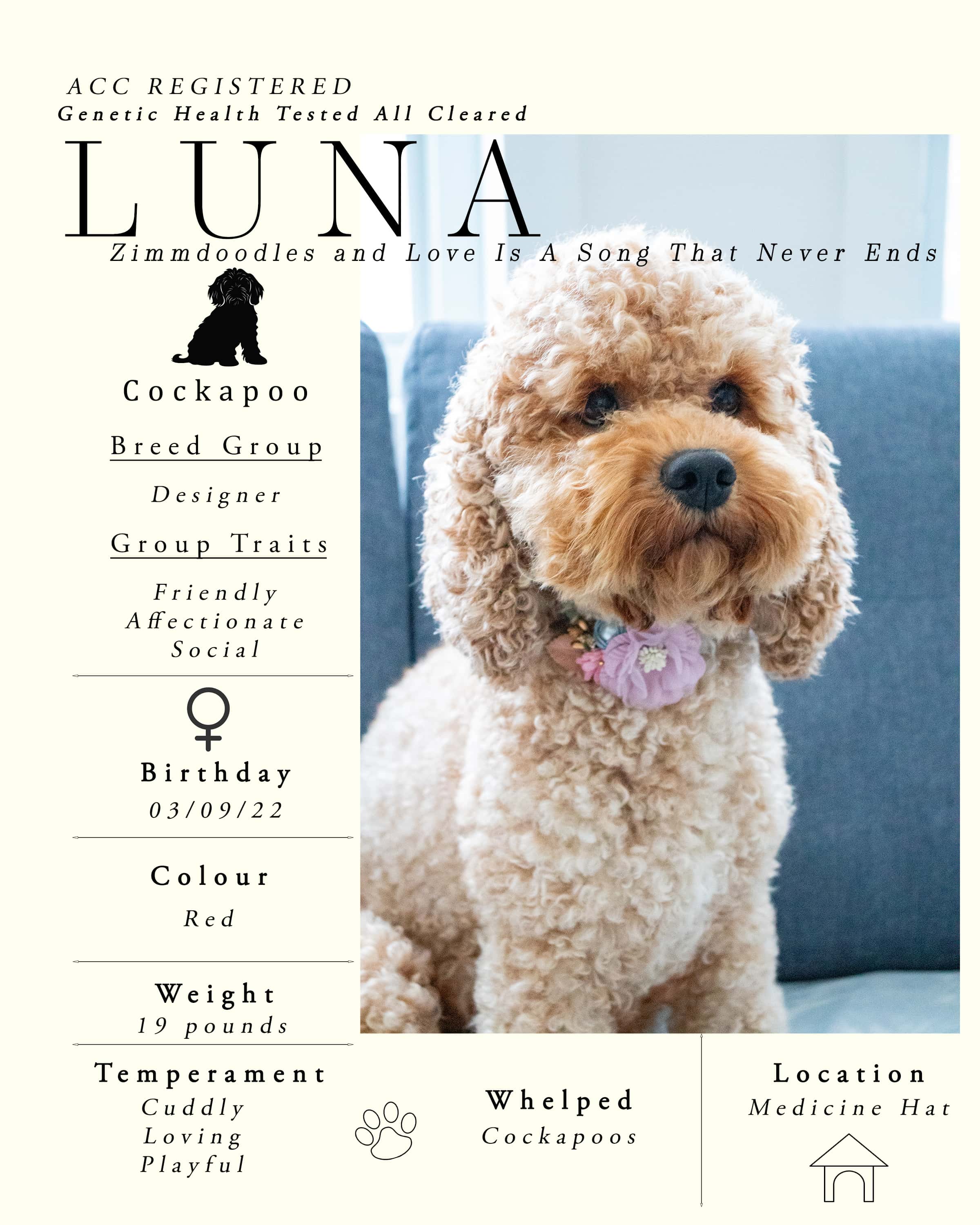 Luna All About Her New