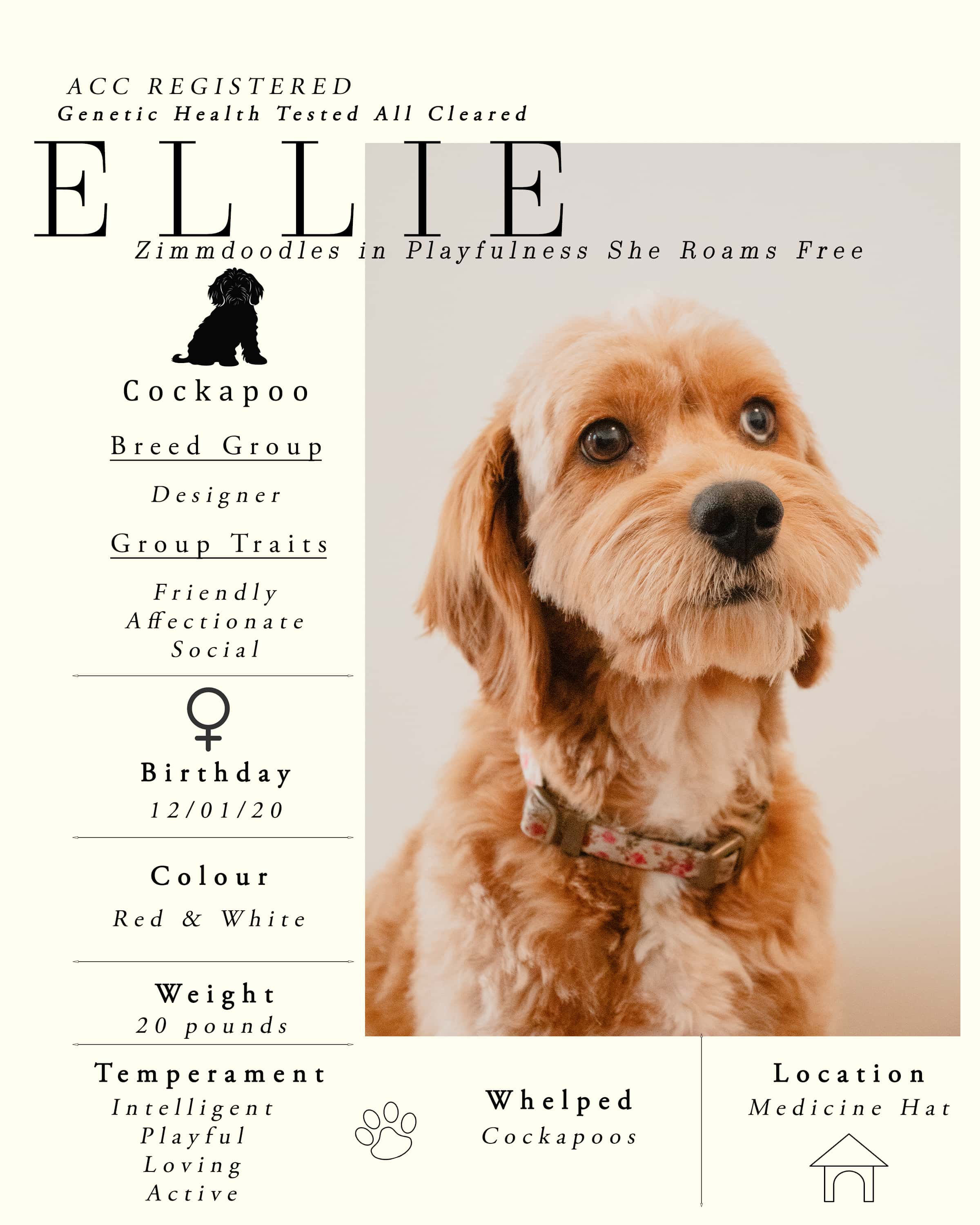Ellie Meet Her