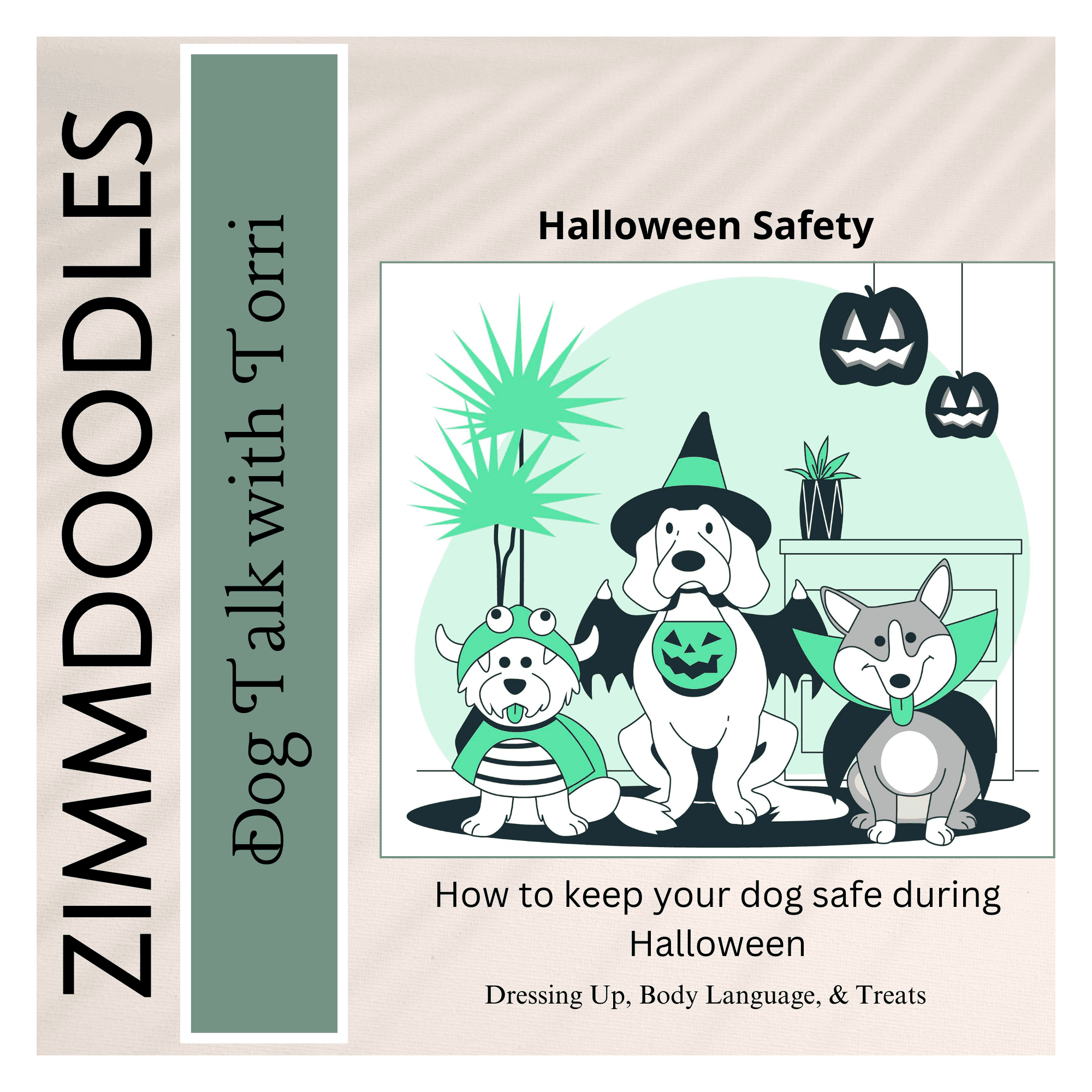 Halloween Safety