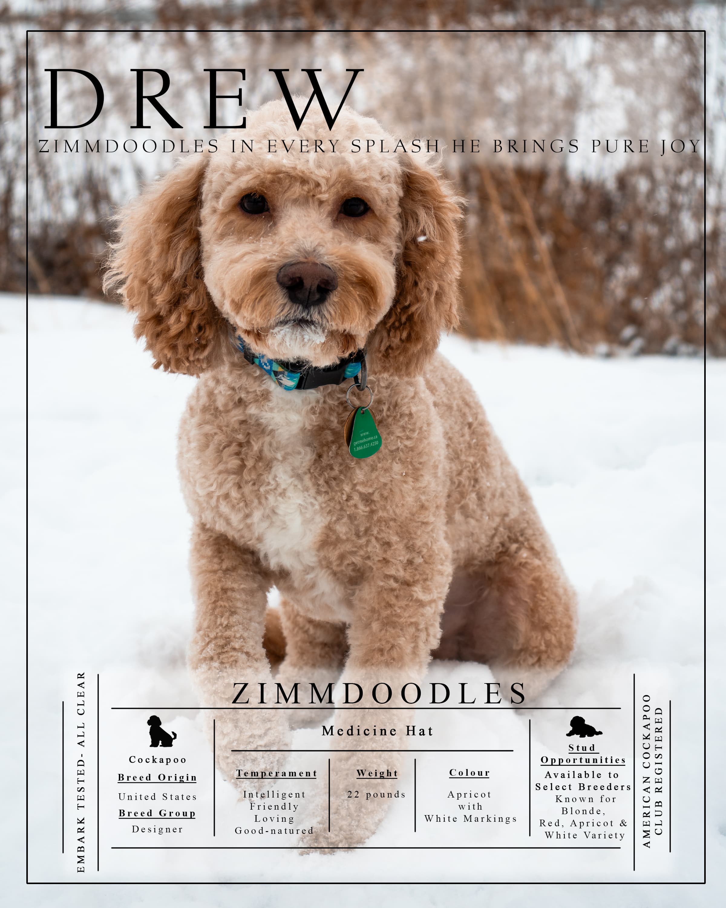 Meet Drew 2025