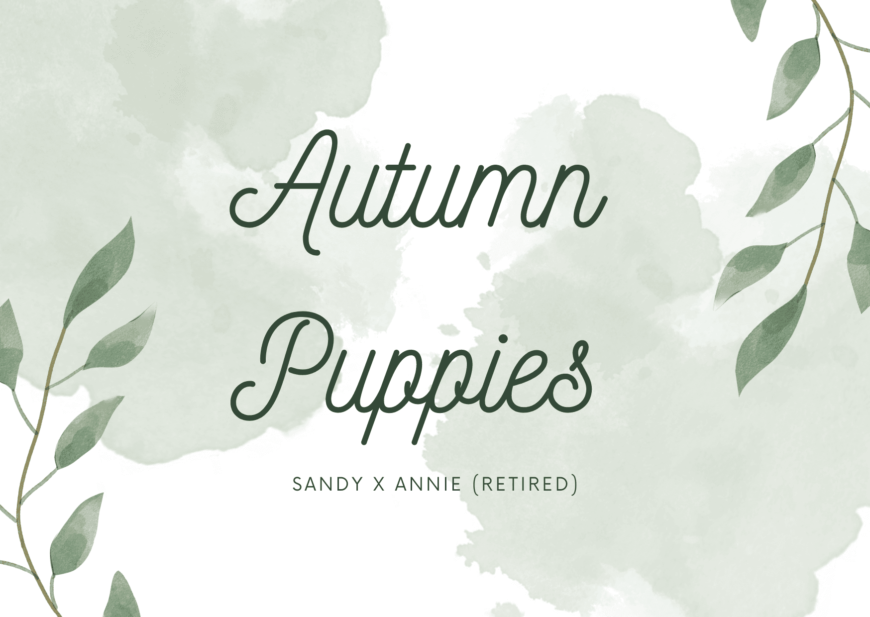 Autumn Puppies