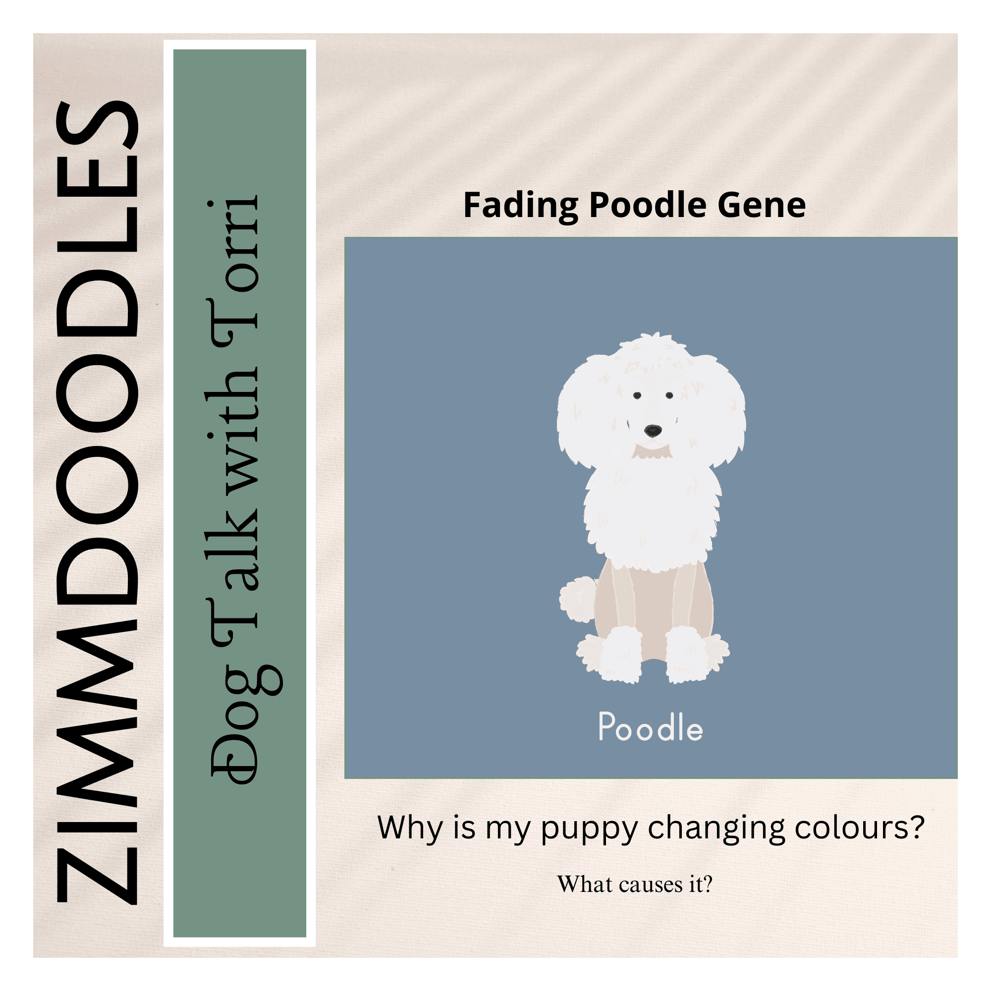 Fading Poodle Gene