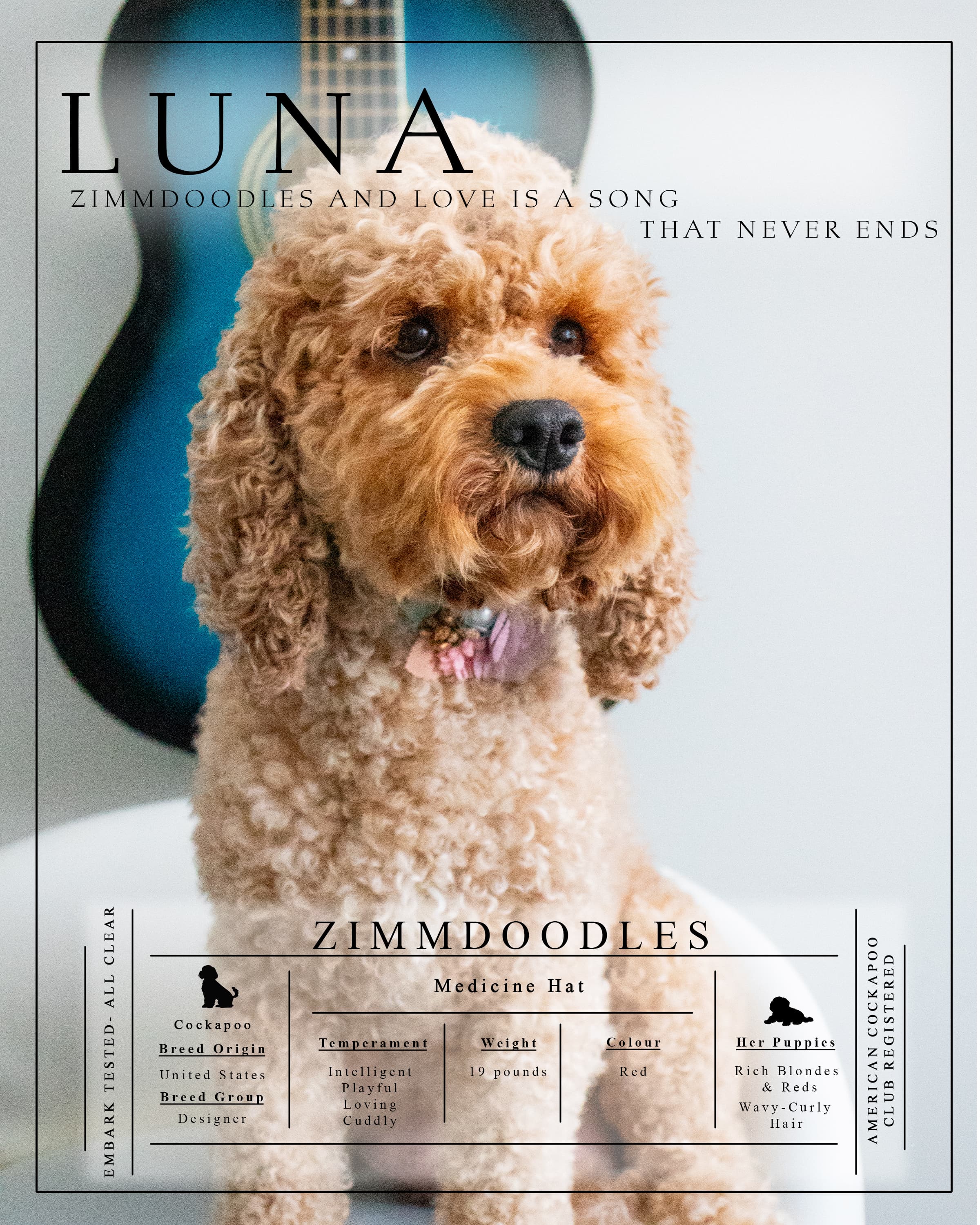 Meet Luna 2025