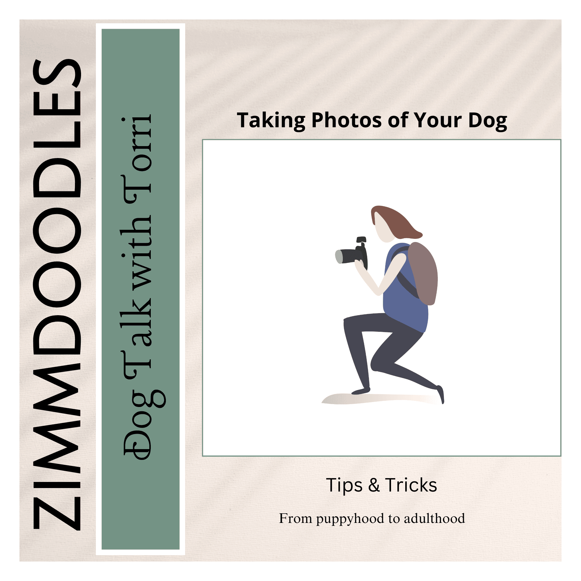 Taking Photos of Your Dog