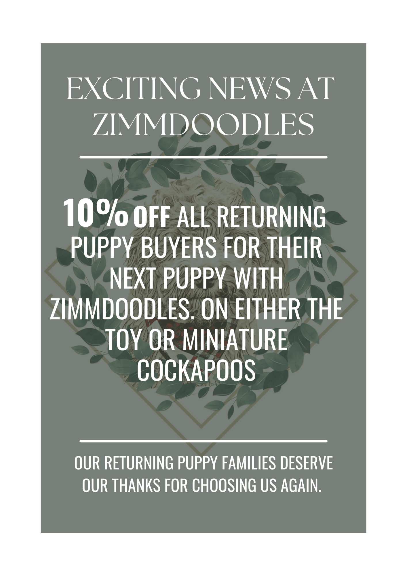 Puppy Discount