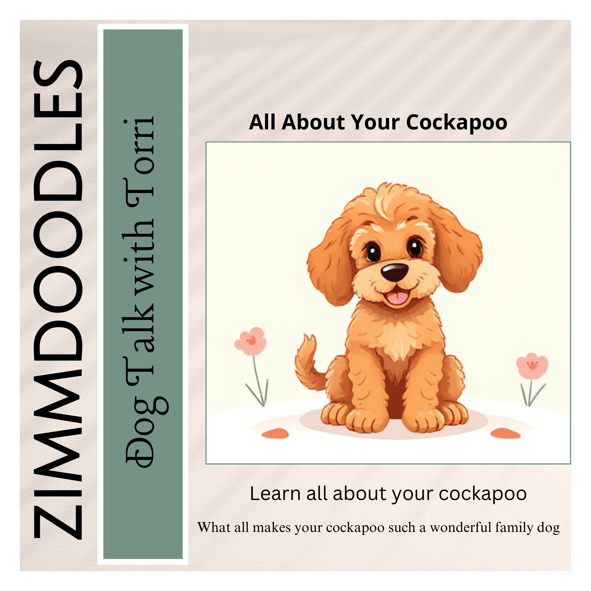 All About Your Cockapoo