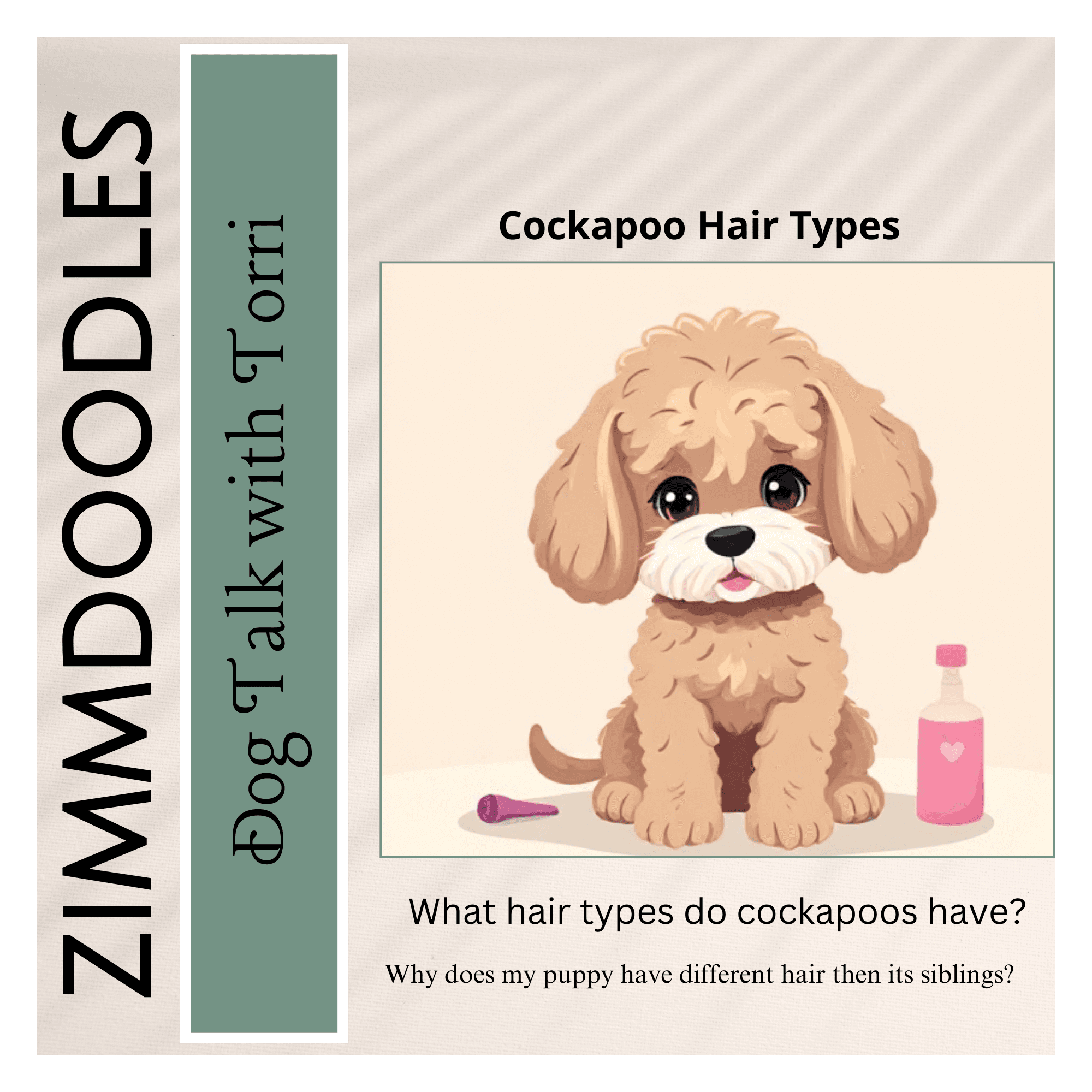 Cockapoo Hair Types