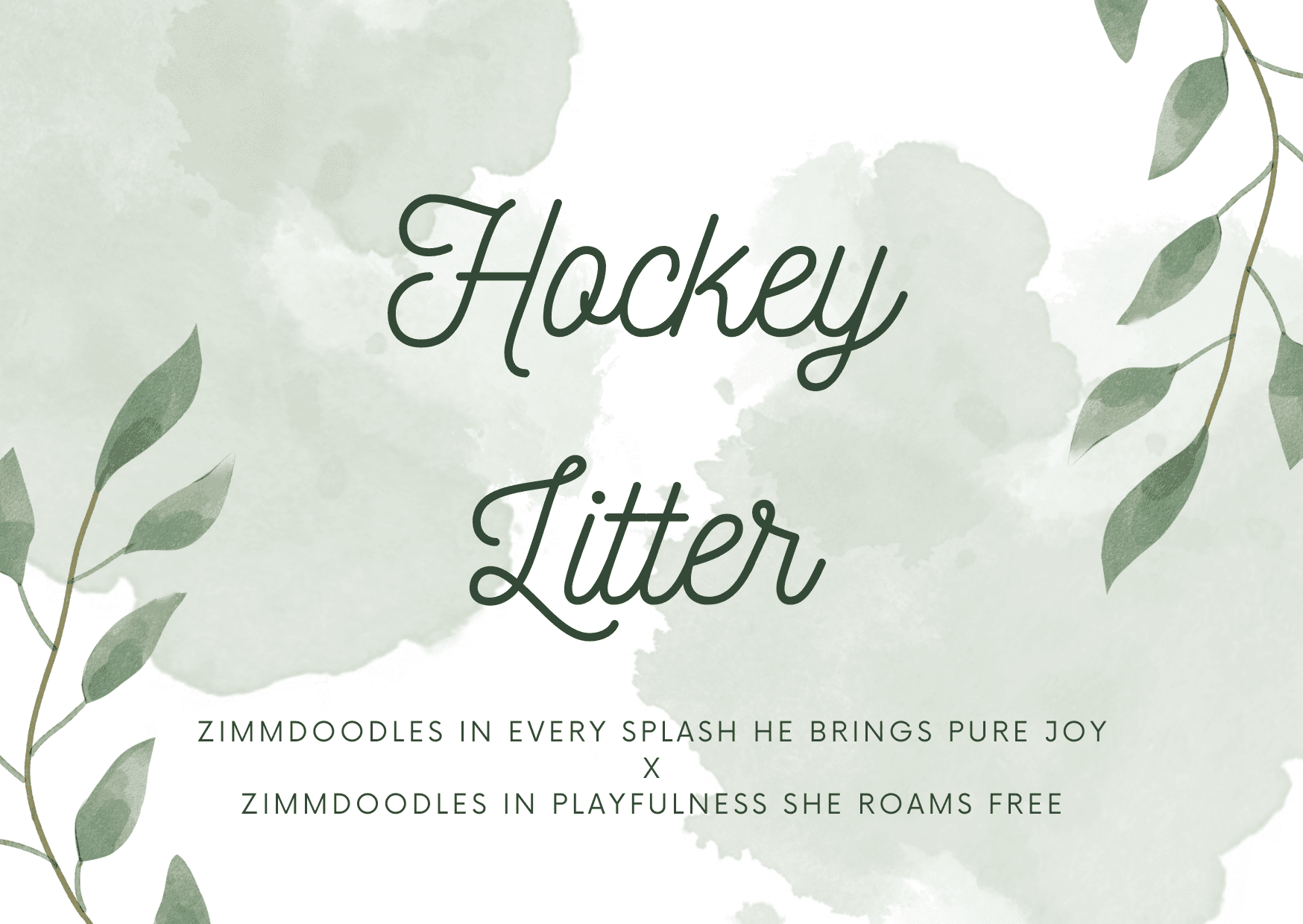 Hockey Litter